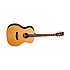 TWJF Tanglewood