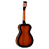 TWD1 Tanglewood