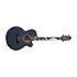 LTD 2019-MOON + étui Takamine