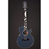LTD 2019-MOON + étui Takamine