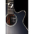 LTD 2019-MOON + étui Takamine