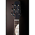 LTD 2019-MOON + étui Takamine