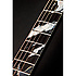 LTD 2019-MOON + étui Takamine