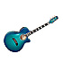 TSP 178AC-SBB Thinline + étui Takamine