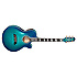 TSP 178AC-SBB Thinline + étui Takamine