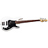 AP-204 Snow White LTD