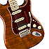 Rarities Flame Top Stratocaster Golden Brown Fender