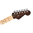 Rarities Flame Top Stratocaster Golden Brown Fender