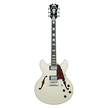 Premier DC Champagne D'Angelico