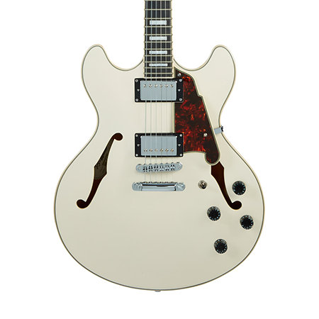 Premier DC Champagne D'Angelico