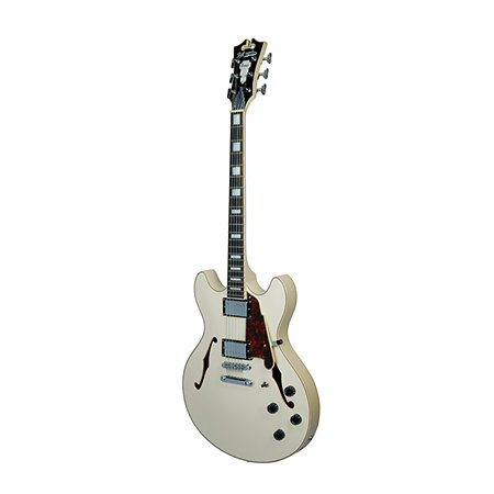 Premier DC Champagne D'Angelico