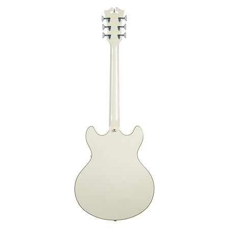 Premier DC Champagne D'Angelico