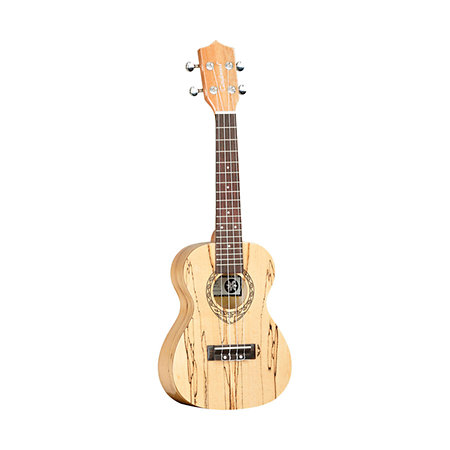 TWT10 + housse concert OGBEA11 Tanglewood