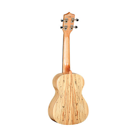 TWT10 + housse concert OGBEA11 Tanglewood