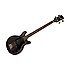 Les Paul Junior Tribute DC Bass Worn Ebony Gibson