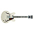 Premier DC Champagne D'Angelico