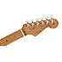 Limited Edition American Pro Strat HSS Roasted Neck Daphne Blue Fender