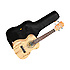 TWT10 + housse concert OGBEA11 Tanglewood