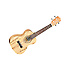 TWT10 + housse concert OGBEA11 Tanglewood
