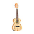 TWT10 + housse concert OGBEA11 Tanglewood