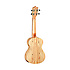 TWT10 + housse concert OGBEA11 Tanglewood