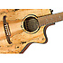 FA-345CE Spalted Maple FSR Fender