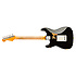 1959 Stratocaster Heavy Relic MN Aged Black Fender