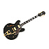 Ltd Ed Joe Bonamassa ES-355 Standard Outfit Epiphone