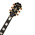 Ltd Ed Joe Bonamassa ES-355 Standard Outfit Epiphone