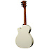LE19-IV2ACE Limited Edition Ivo Auditorium LAG