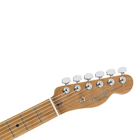 Limited Edition American Pro Tele Roasted Neck Daphne Blue Fender