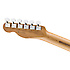 Limited Edition American Pro Tele Roasted Neck Daphne Blue Fender