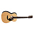 000-13E Martin Guitars