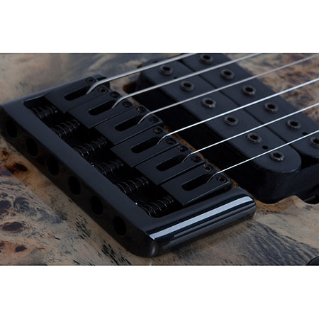 C-6 Pro Charcoal Burst Schecter