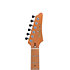 AZ224F-BI Ibanez