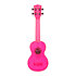 Waterman Pink Kala