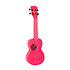 Waterman Pink Kala