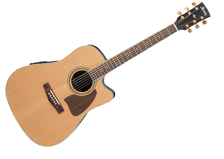 Ibanez AW85ECE RLG