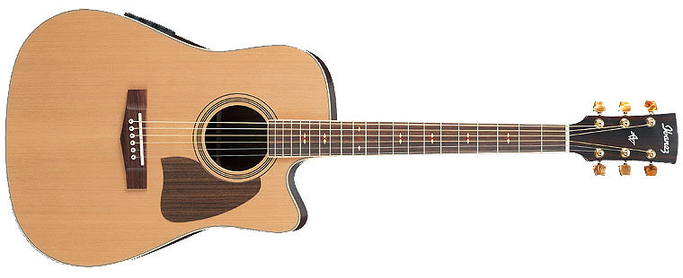 Ibanez AW85ECE RLG