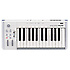 K25 Korg