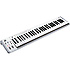K61P Korg
