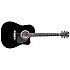 SW203CE BK Stagg