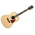 AW40 NT ArtWood Series Ibanez