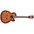 AEL20E ACV Ibanez