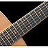 AW85ECE RLG Ibanez