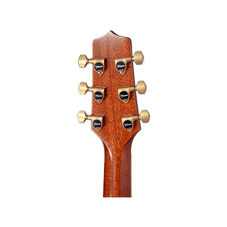 Takamine LTD2020 Peace