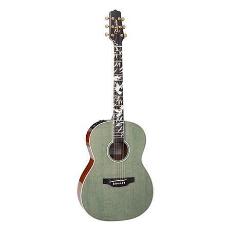LTD2020 Peace Takamine
