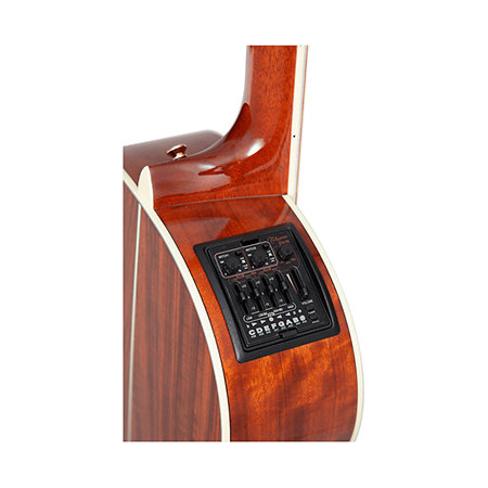 LTD2020 Peace Takamine