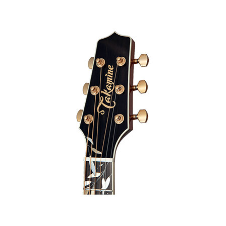 LTD2020 Peace Takamine