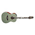 LTD2020 Peace Takamine